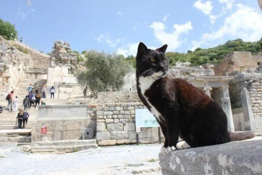 Yaptığınıze seyahatlerde doğa veya tarihi yerlerin fotoğraflarını çeker misiniz?