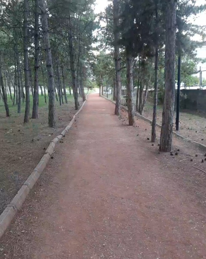 En son ne zaman sabah yürüyüşüne çıktınız?