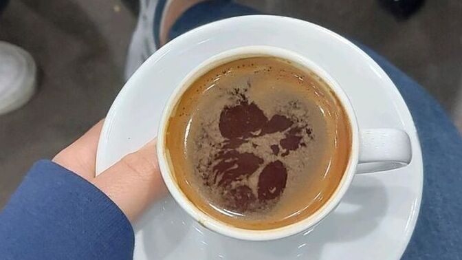 Şu an hangi içeceği içiyorsunuz?