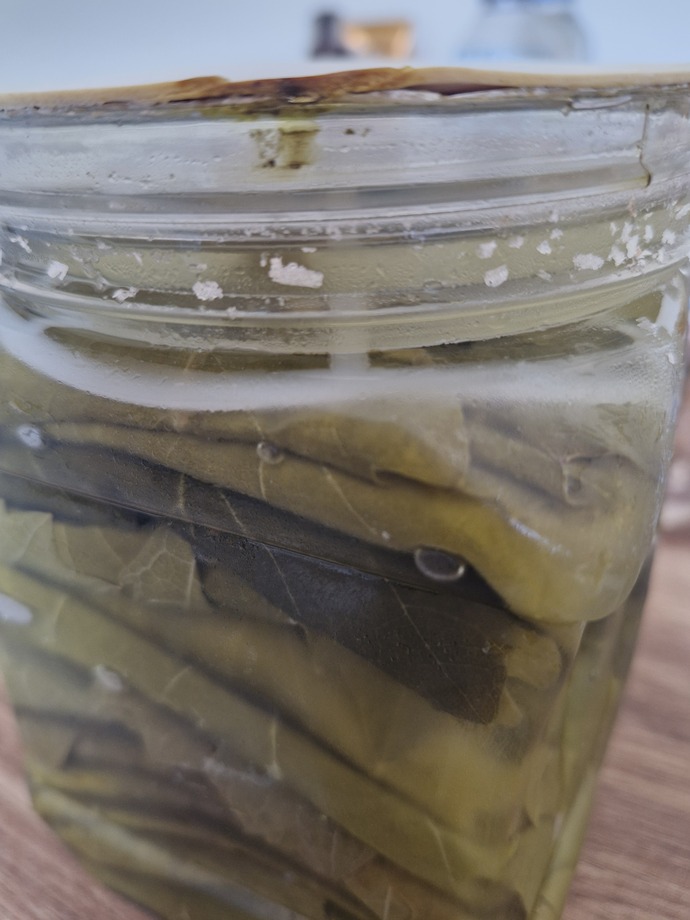 Yeni aldım üzüm yaprağı kapağını açtığım gibi resimdeki küf resmi!, iade edicem bozuk olduğu anlamına gelmiyor mu sizce de?