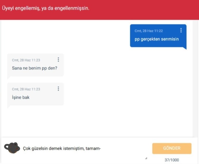Yok artık abi ya Türk kızları gerçekten dünyanın en egolu kızları değil mi?