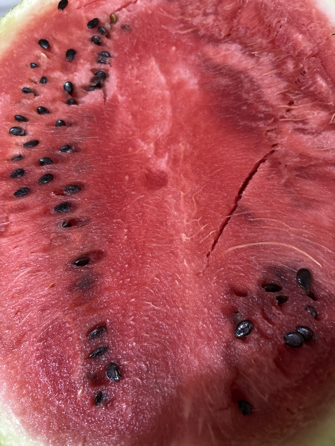 Karpuzu ısırırken suyunu üstüne dökmeden yiyen var mı 🤣?
