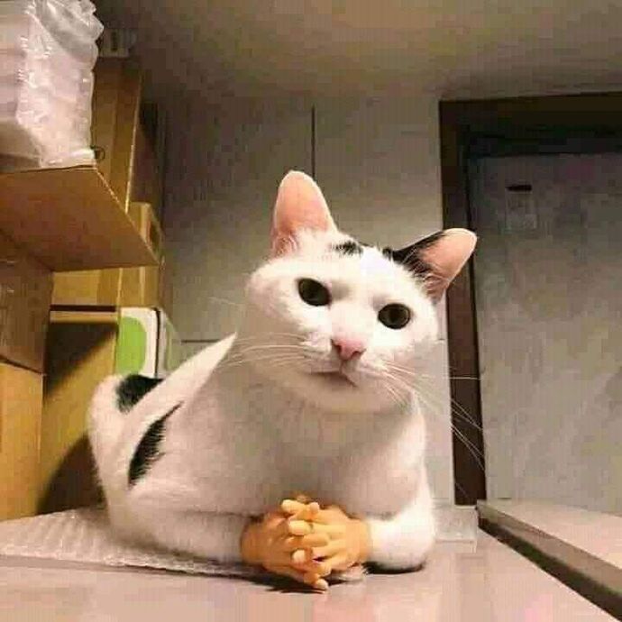 Ben izlemeyi seviyorum hocam yaşamak bana göre değil.