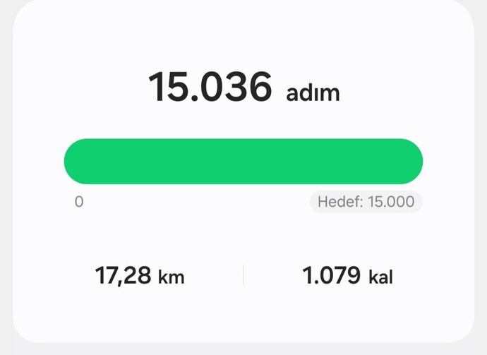 Bugün kaç adım attınız?