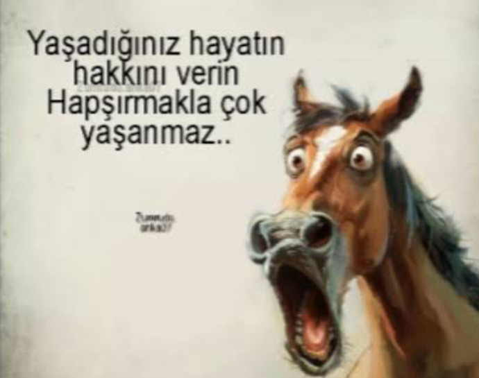 Yaşadığın hayatın hakkını veriyormusun?