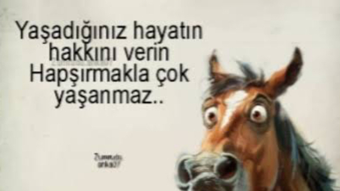 Yaşadığın hayatın hakkını veriyormusun?