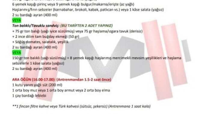 Bugün spora ilk defa kayıt olup gittim hoca bana şöyle bir beslenme programı verdi nasıl sizce program bakar mısınız?