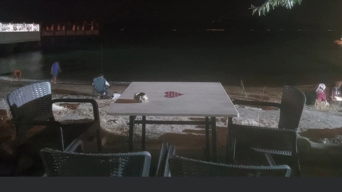 Şu an nerde olmalıydın?