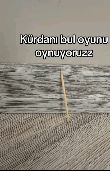 Görsellerdeki kürdanı bulma oyunu oynuyoruz. Bulabilirmisin?