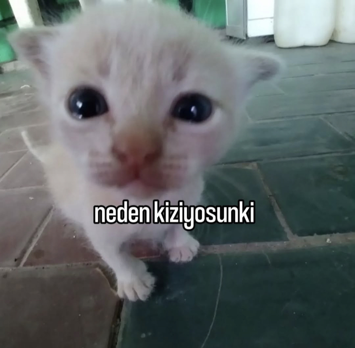 Flörtünüz/ Sevgiliniz eşyalarına çöker misiniz?