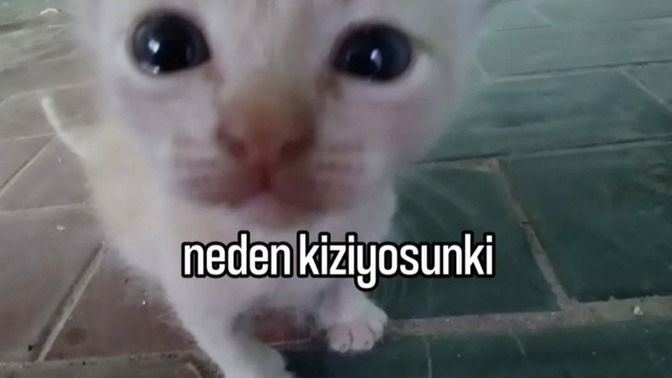Flörtünüz/ Sevgiliniz eşyalarına çöker misiniz?