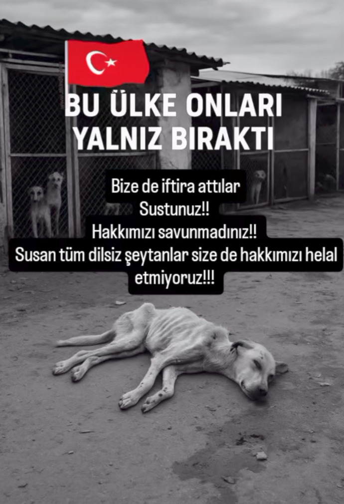 İnsanlara değerli bakar mısın?