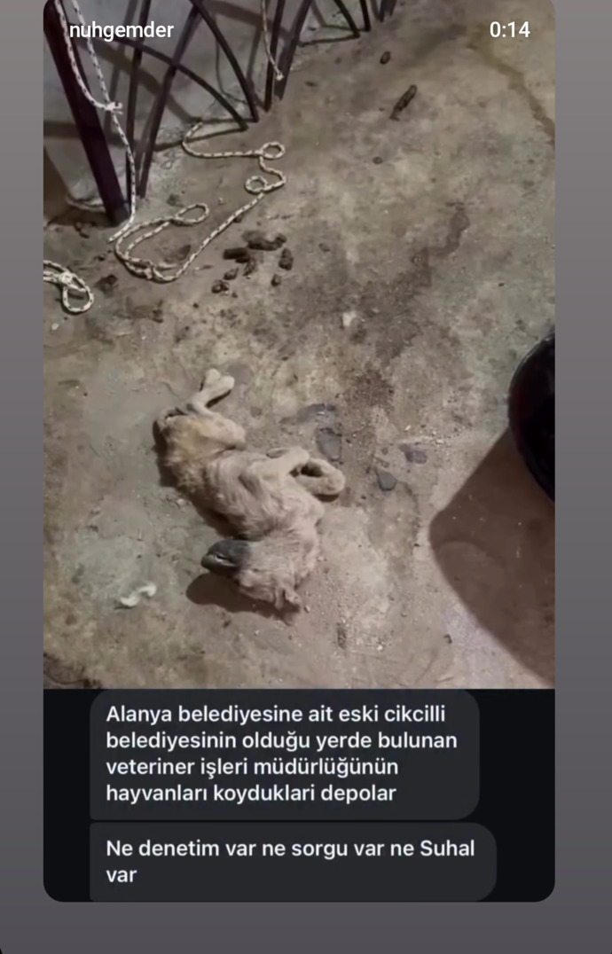 İnsanlara değerli bakar mısın?