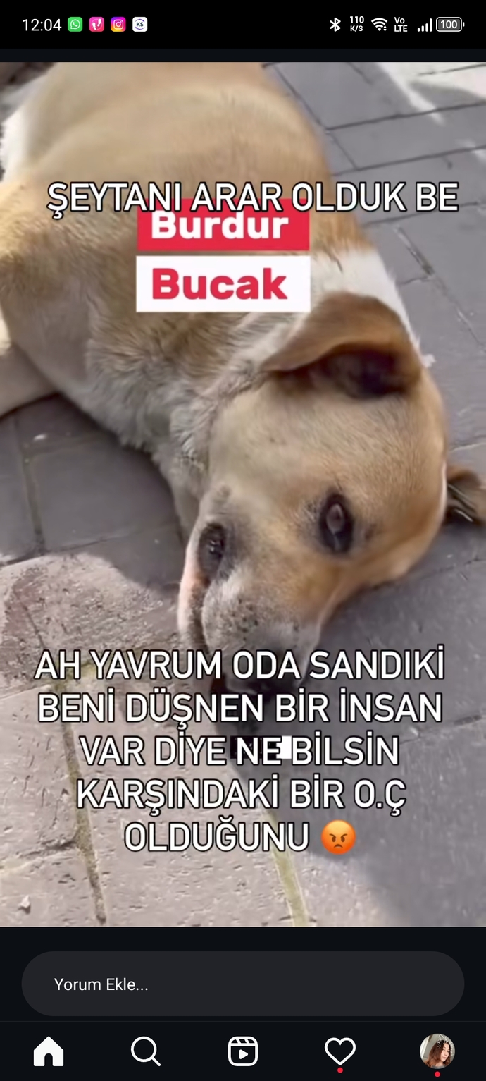 İnsanlara değerli bakar mısın?
