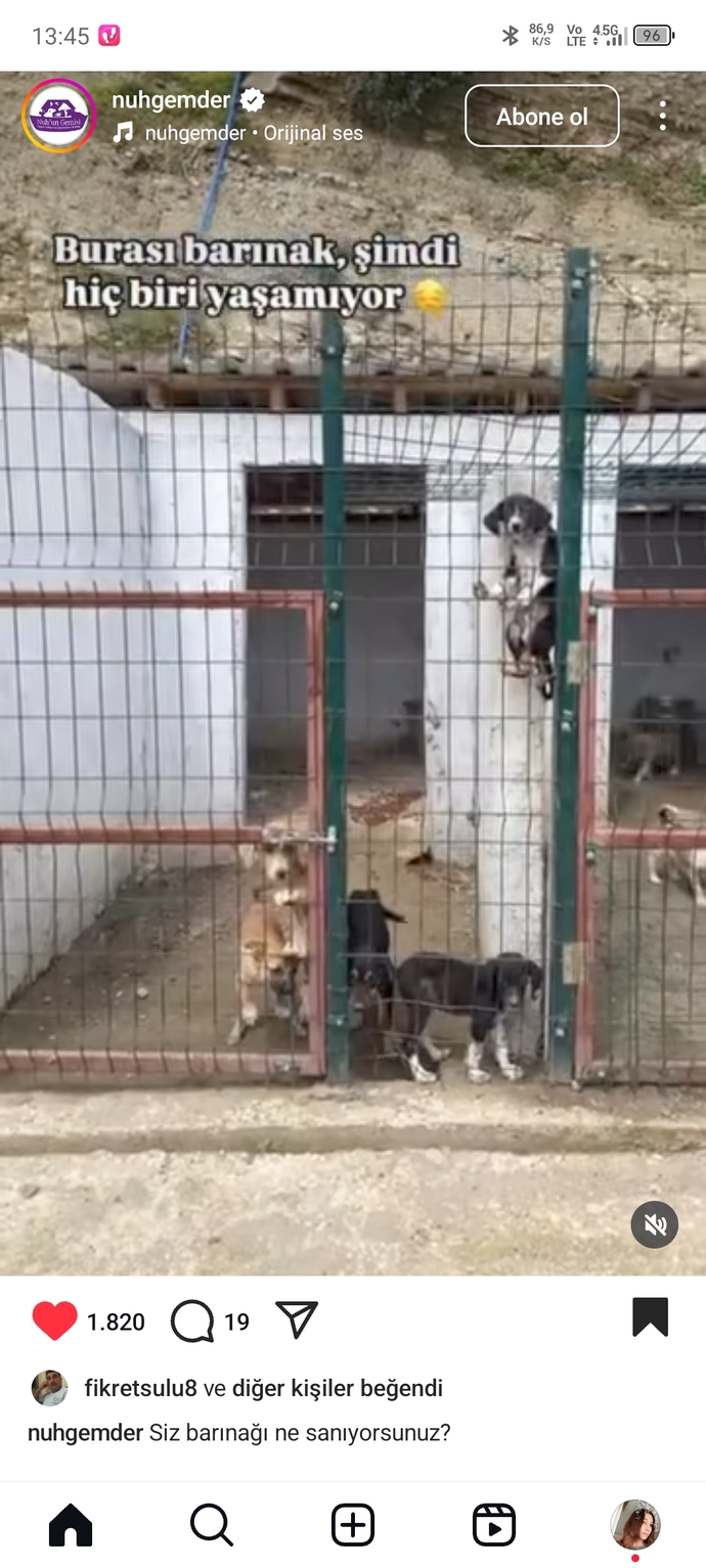 İnsanlara değerli bakar mısın?