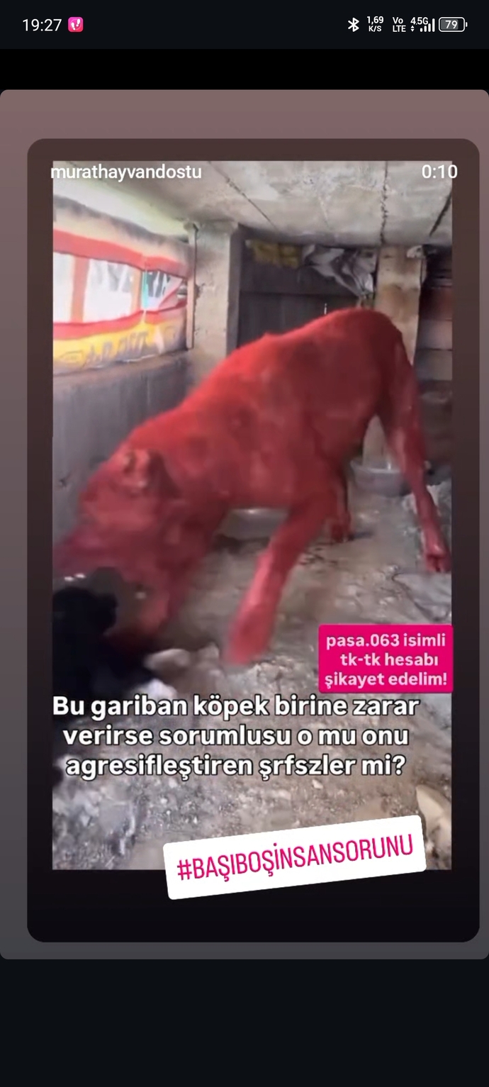 İnsanlara değerli bakar mısın?