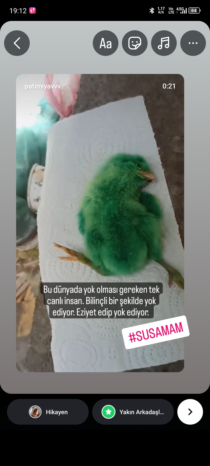 İnsanlara değerli bakar mısın?