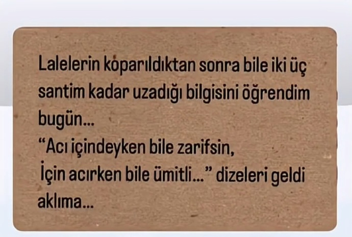 51475Görselini en iyi ifade eden kısa notunu buraya