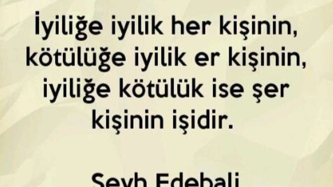 Size kötülük yapana iyilik yapar mısınız?