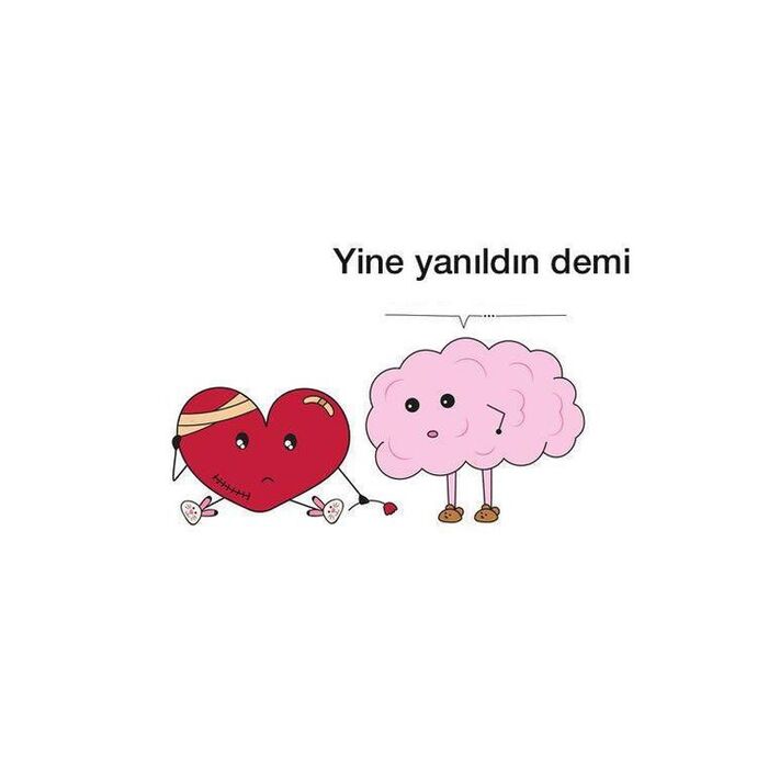 Kalp mi akıl mı seni aşk konusunda yönlendiriyor?