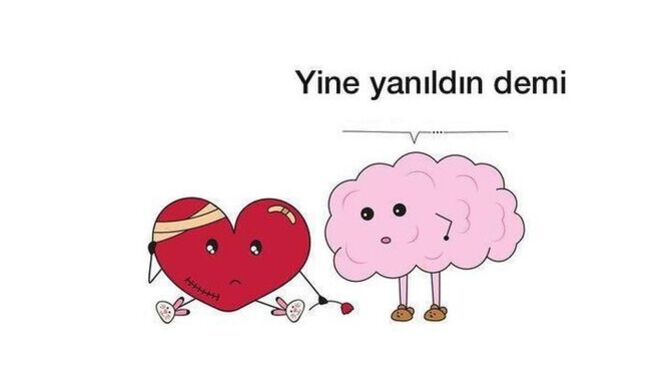 Kalp mi akıl mı seni aşk konusunda yönlendiriyor?