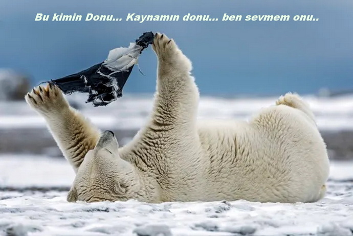 Yazımı kışa, kışımı yaza çevirecek bir babayiğit nerde bulunur acaba?