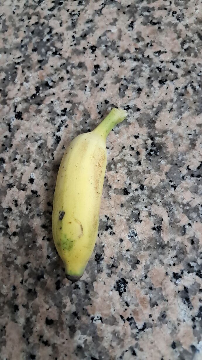Sipariş ettiğiniz yiyecekler gorseldeki ile aynı mı geliyor?
