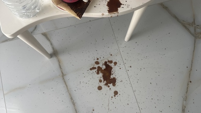 Fal çeviricem derken başıma bela aldım?