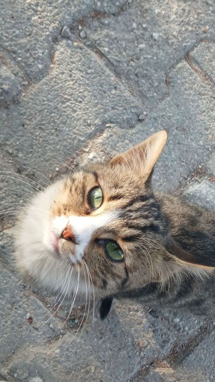 Ruhunuza sakinlik/huzur veren biri ya da birileri var mı?