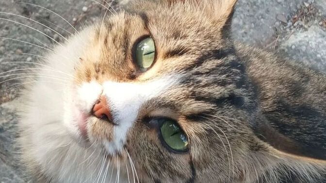 Ruhunuza sakinlik/huzur veren biri ya da  birileri var mı?