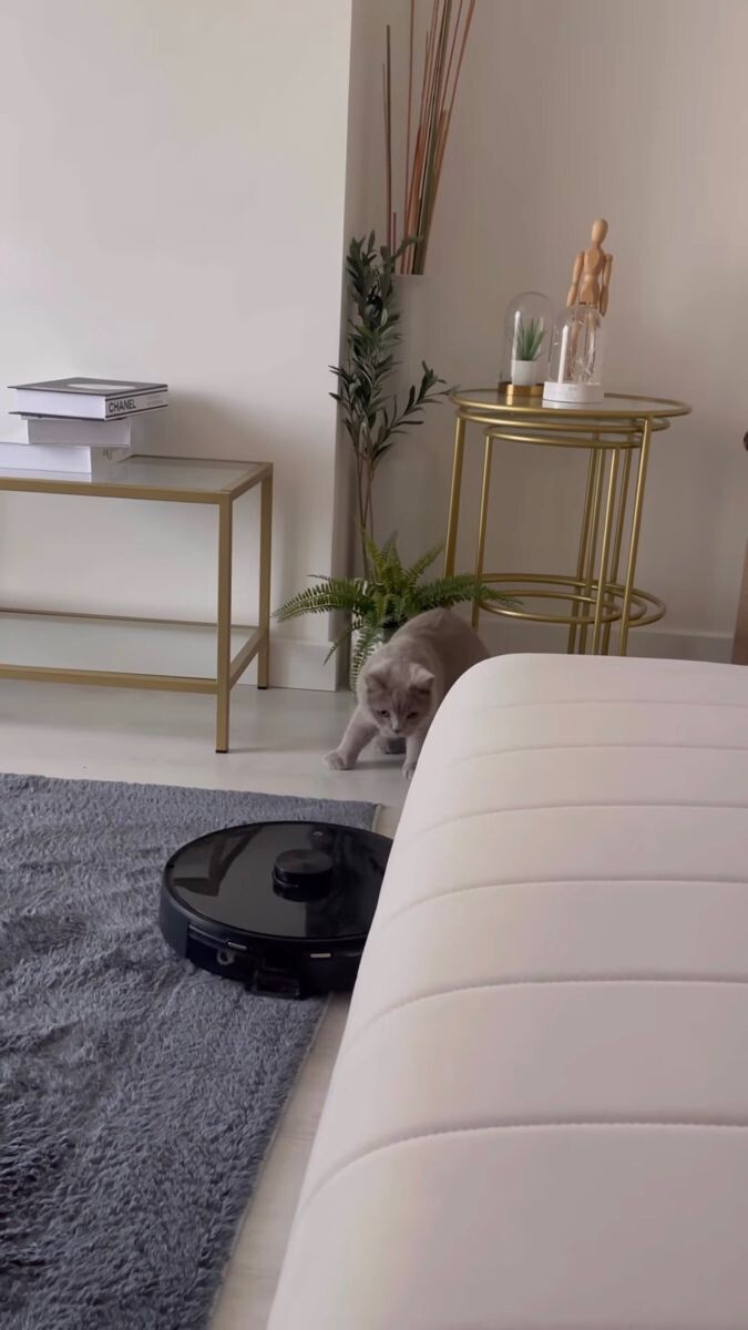 Robot süpürgeler evin her yerini temizlemede ne kadar başarılı?