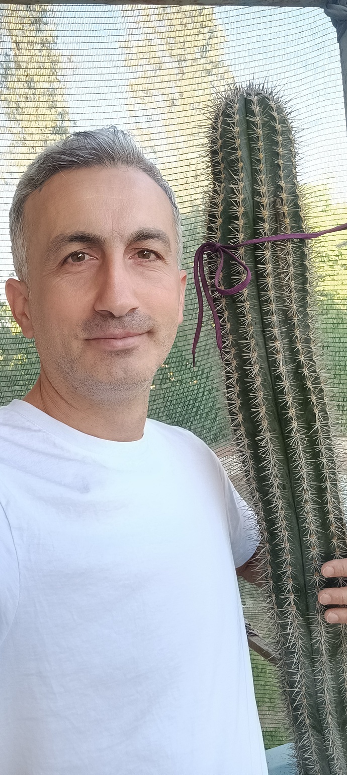 Kaktüsleri sever misiniz? Kaktüsünüz var mı? Dördünden hangisi daha iyi?