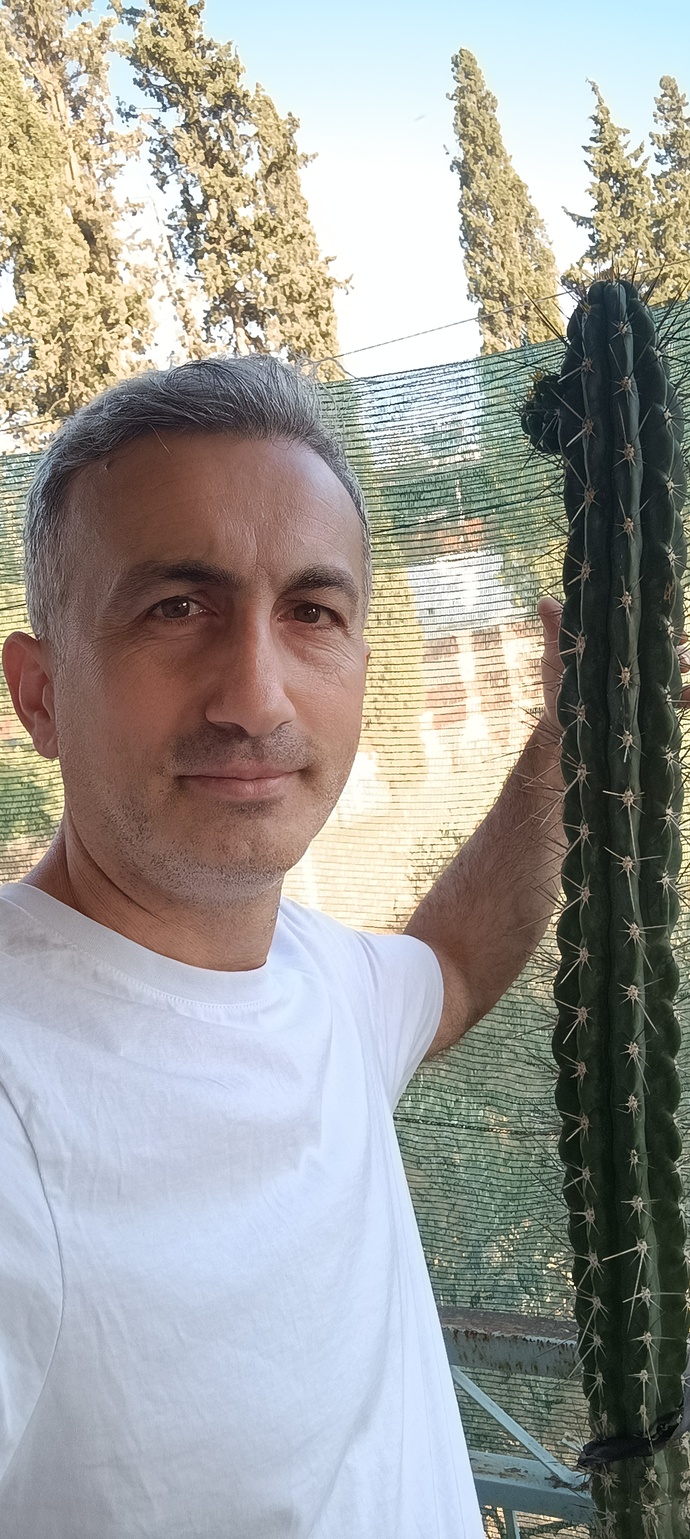 Kaktüsleri sever misiniz? Kaktüsünüz var mı? Dördünden hangisi daha iyi?