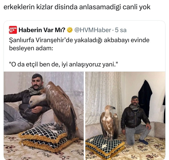 Kadınlar mı her canlı ile daha iyi anlaşır, erkekler mi?