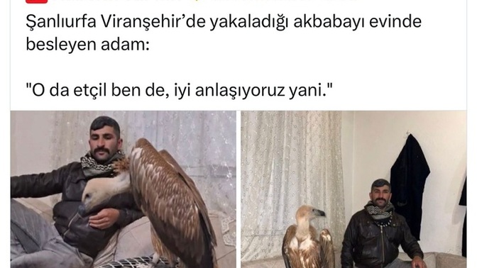 Kadınlar mı her canlı ile daha iyi anlaşır, erkekler mi?