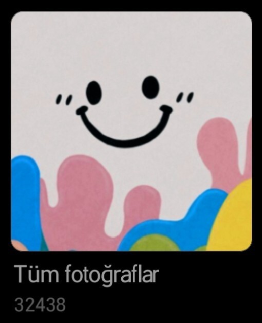 Galerinde toplam kaç fotoğraf var?