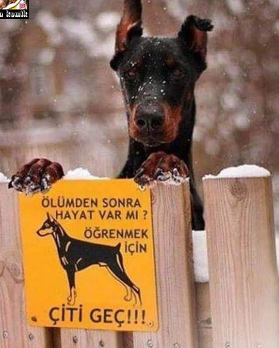 Üzerinde bi uyarı levhası olsaydı ne yazardı?