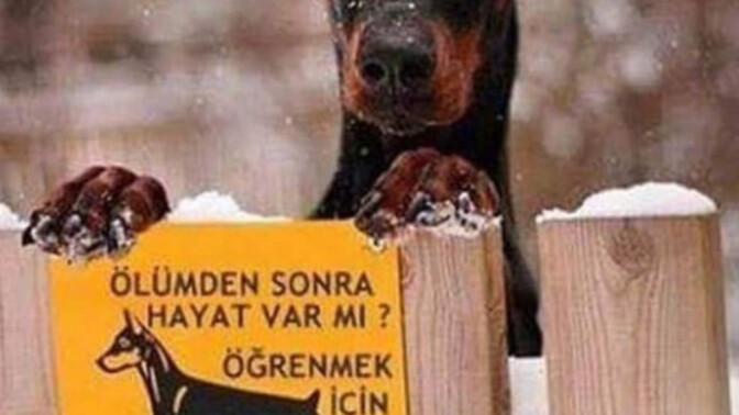 Üzerinde bi uyarı levhası olsaydı ne yazardı?