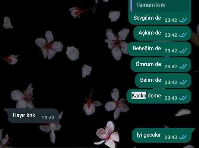 Görsel alıntıdır.