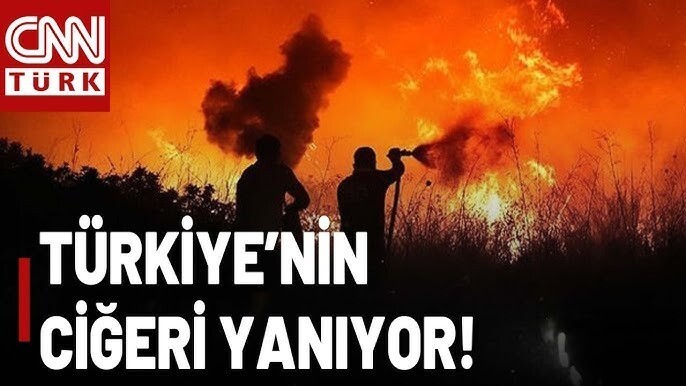 Bütün Türkiye yanıyor ormanlar yanıyor?