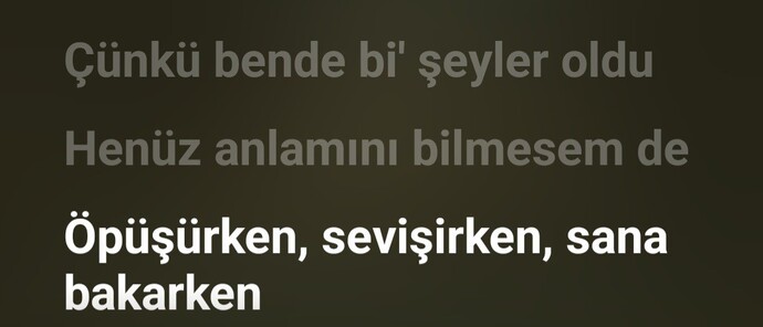 Manifest yapar mısınız?