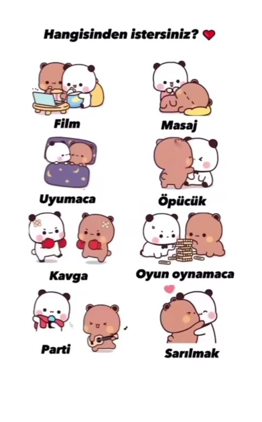 Hangisini istersiniz?