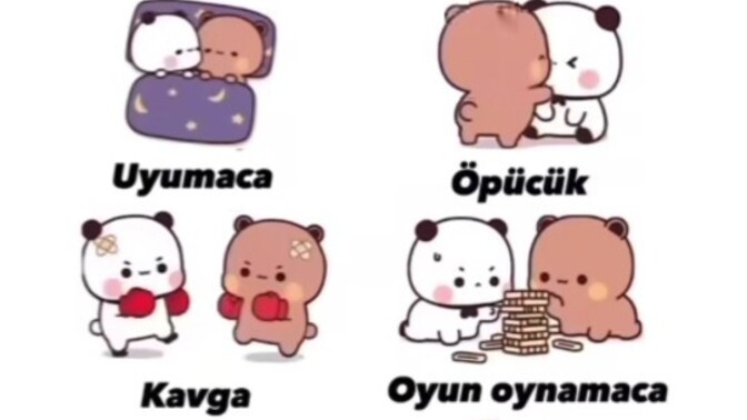 Hangisini istersiniz?