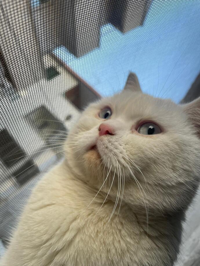 Hangi hayvanla selfieniz var?