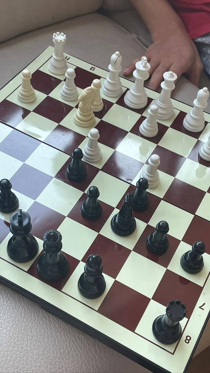 Satranç oynamayı biliyor musunuz?