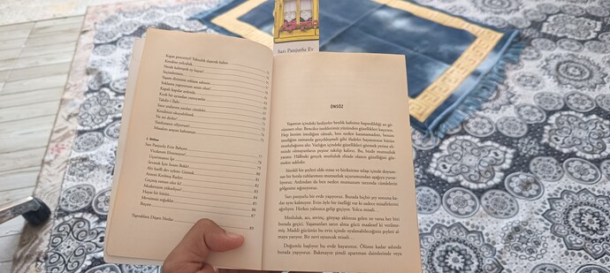 Kitapların giriş kısmını okur musunuz?