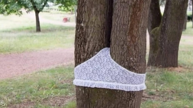 Arkadaşlarla piknik yapmaya geldik şöyle bişey gördüm 🤭🤭sizce kimin bu? unutmuş burda🤭🤭🤭🤭?
