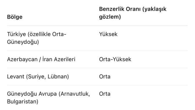 Hiç yapay zekaya tipiniz üzerinden hangi coğrafyaya ait olduğunuzu sordunuz mu ya da dna nıza baktırmayı düşündünüz mü?
