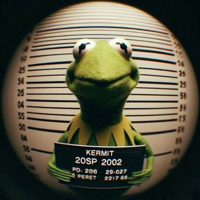 Hiç suç işlediniz mii?
