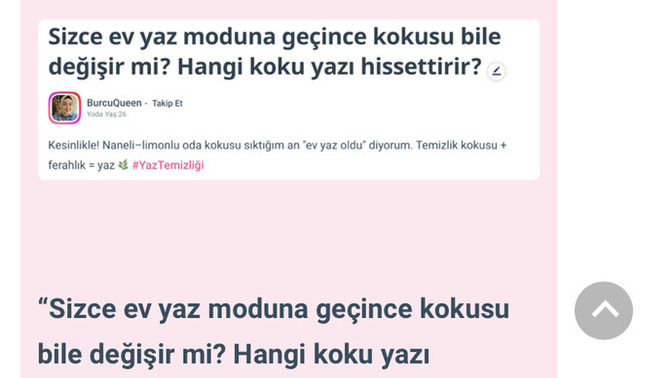 Temizlik perisi diye birisi mesaj atmış, sizce ne demek istiyor?